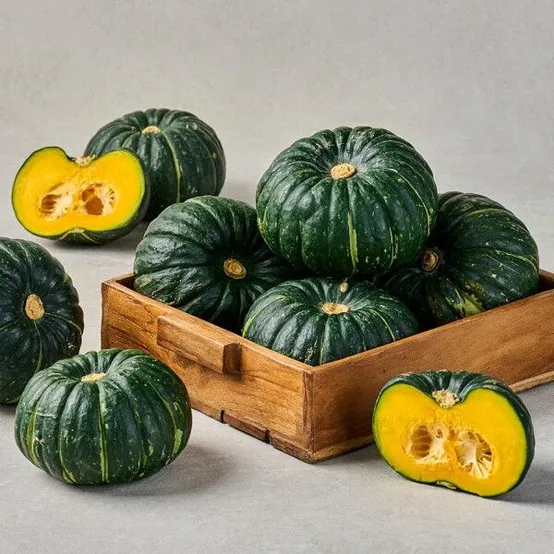 [팜스프링] 제주 미니 밤호박 보우짱 4kg 못난이