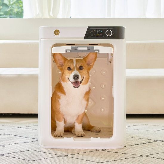 페페 안면무풍 저소음 중형 펫드라이룸 DR-300PRO 강아지 고양이 털 건조기 드라이기 304937