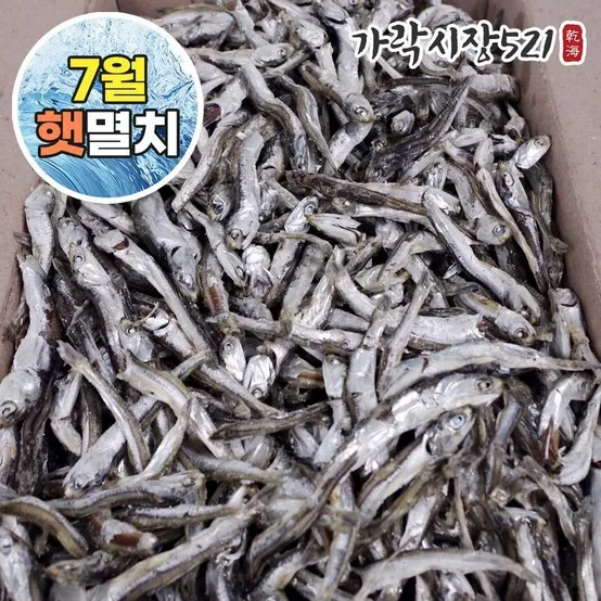 가락시장521 26년 3월 수매 고주바멸치 1.5kg