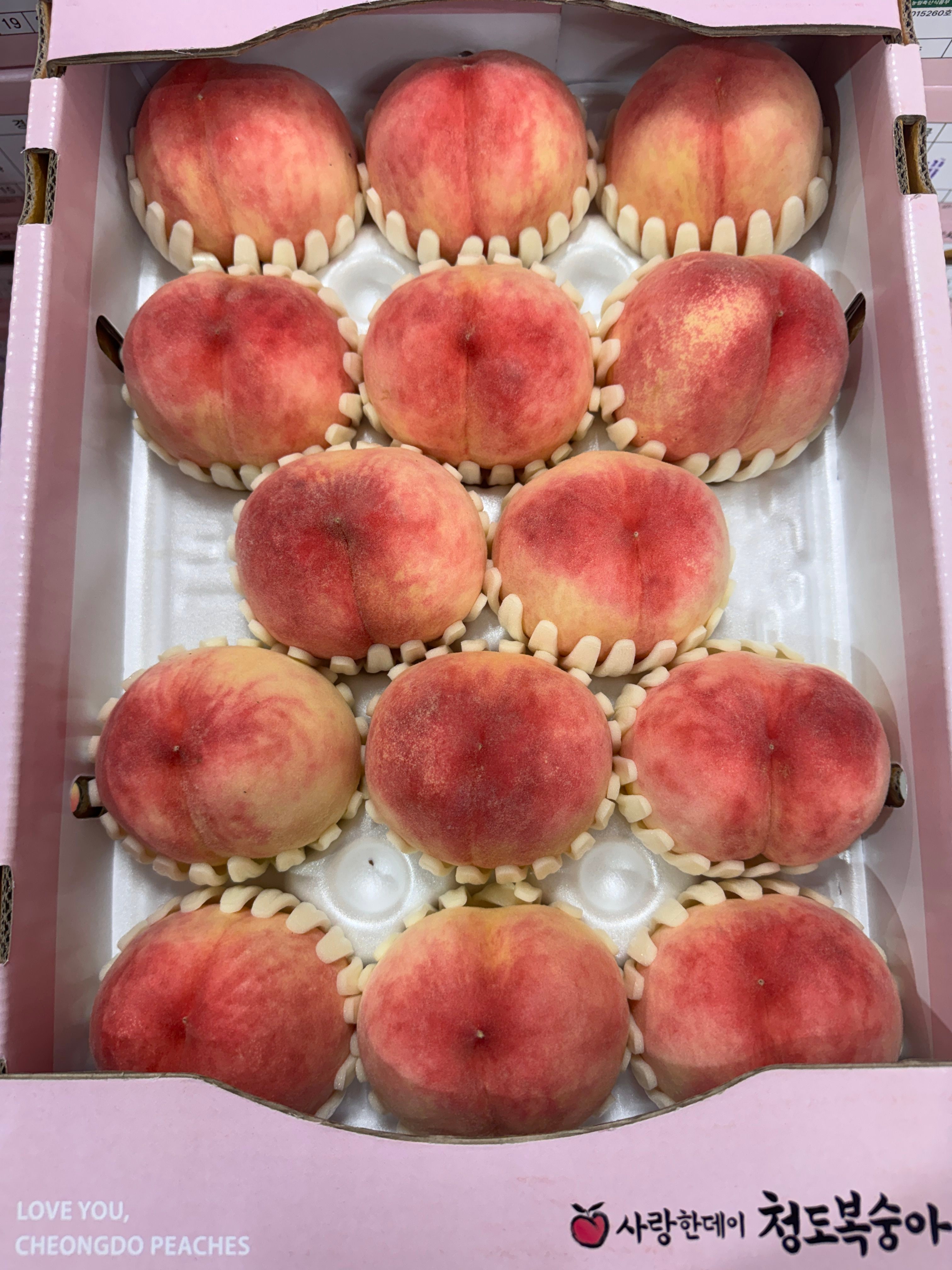 [롯데온]대극천 복숭아 2kg (17,140원 / 무배)