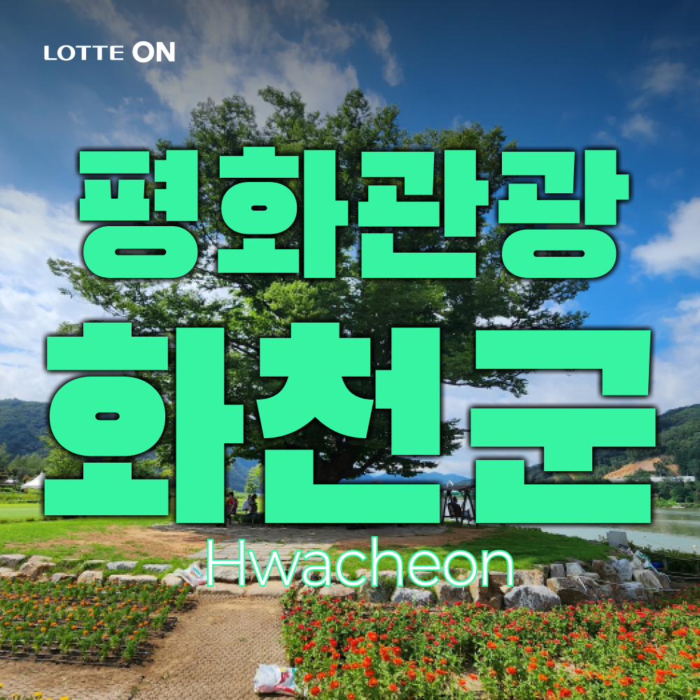 [당일여행] 화천군 DMZ 평화의 길 평화관광 (산소길 야생화트레킹, 평화의댐, 거례리수목공원)
