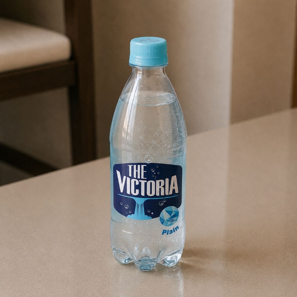 웅진 더 빅토리아 탄산수 플레인 500ml X 40개
