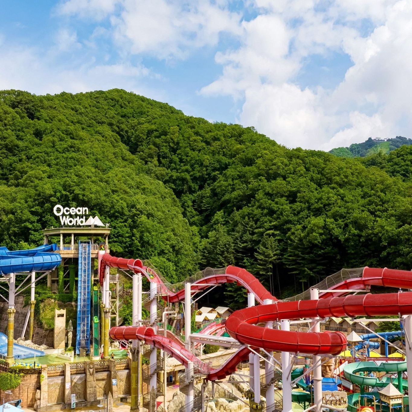 소노벨 비발디파크 D