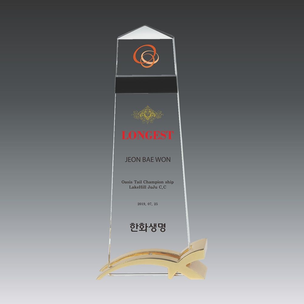 SP6-136-1 주문제작 골프트로피 트로피 싱글패 이글패 홀인원패 테니스대회 축구기념패 골프상패