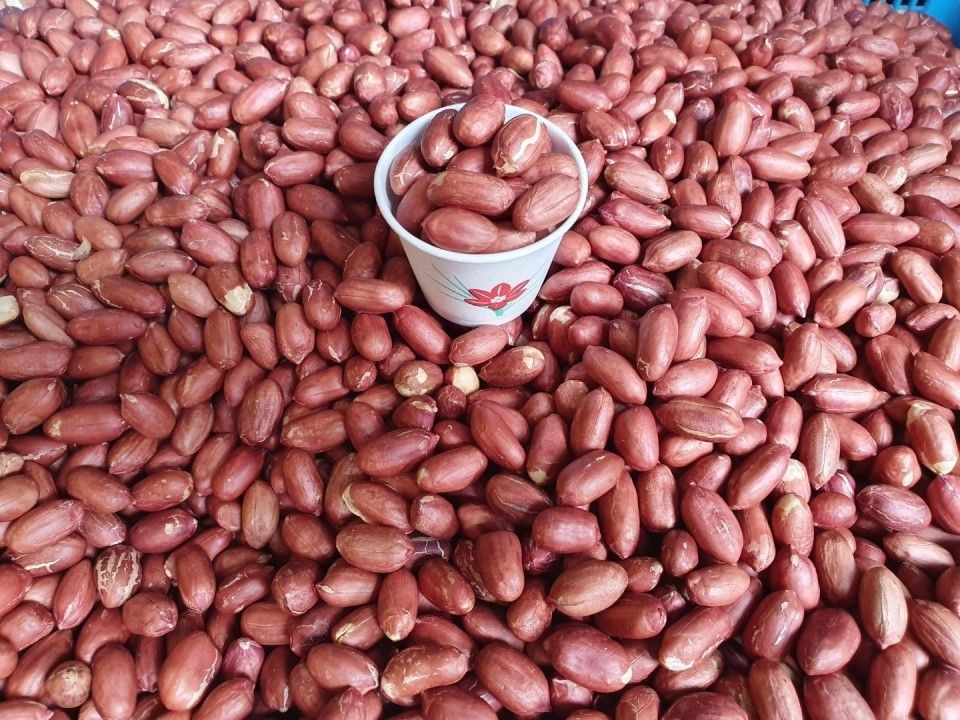 국산 볶은땅콩 1kg 주문 후 바로 볶아 발송 해드립니다.(2kg부터 무료배송 , 여름기간 할인판매중)