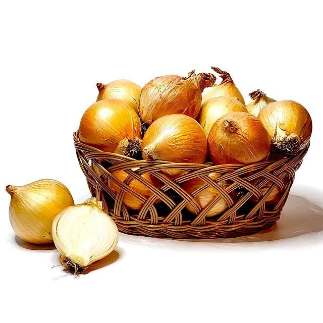 [햇양파] 국내산양파 5kg(소)
