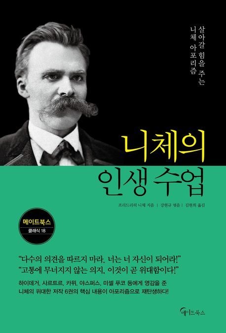 니체의 인생 수업 (살아갈 힘을 주는 니체 아포리즘)