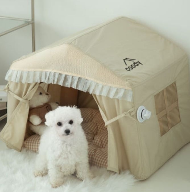 [롯데백화점] 지오 쿠디 강아지 에어텐트 고양이 반려동물