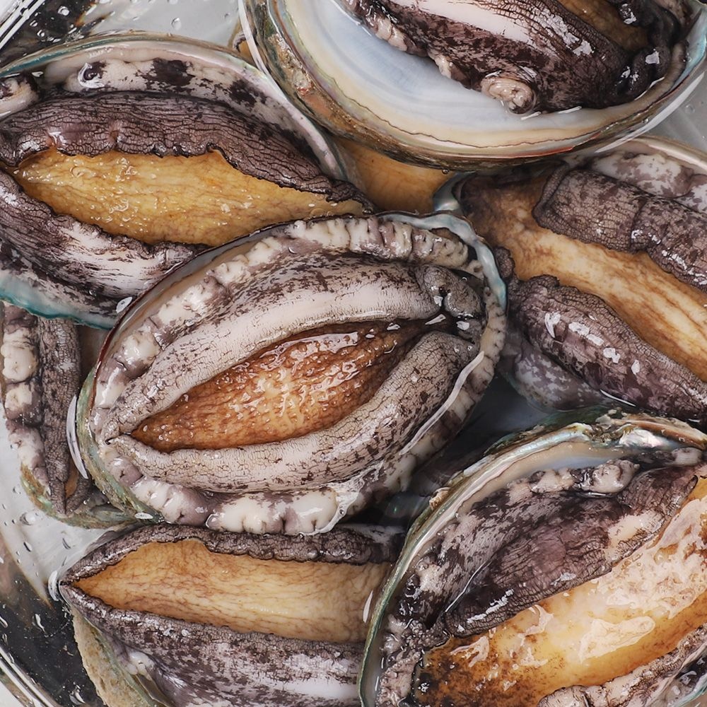 [산지직송]특대 완도 활전복 1kg(11-12미) 산소포장