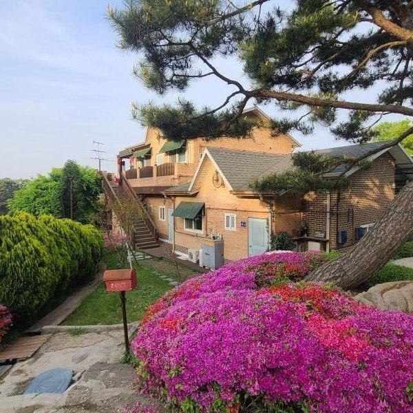 인천(무의도) 상수리나무아래펜션