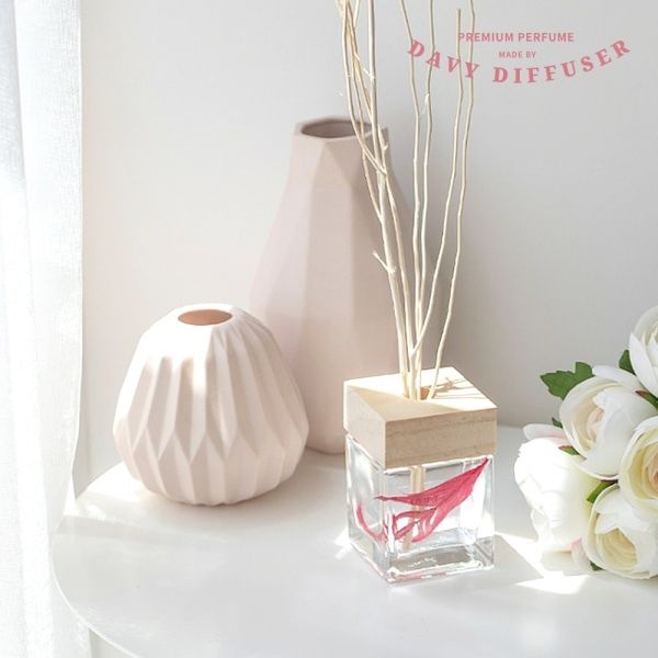 [다비디퓨저] 프리미엄 우드 실내용 방향제 100ml 1+1세트
