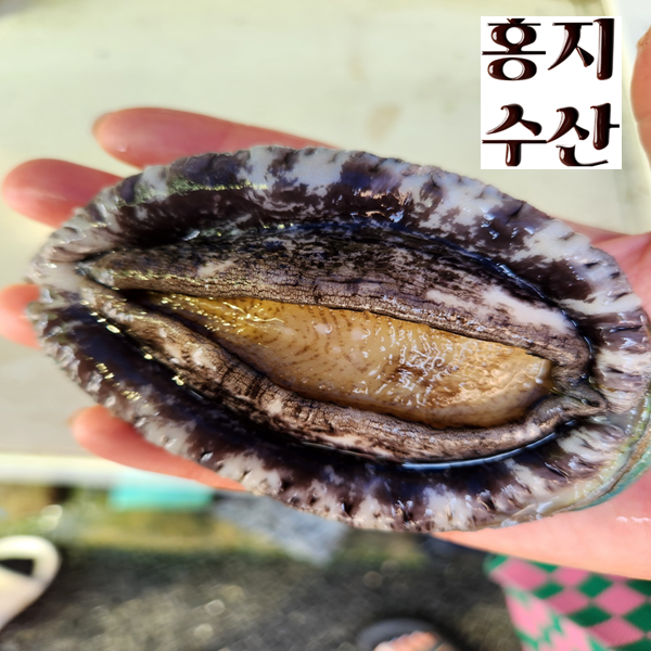 완도산 활전복 대사이즈 1kg 7-9미이내 산소포장