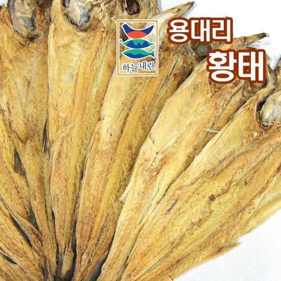 [청정설악] 용대리 황태포 10미 특왕/ 44-47cm