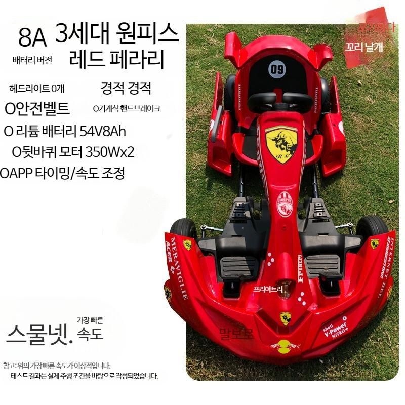 [해외] 고카트 전기차 전동 레이싱 전동카트 성인 루지 상업용 성인용 드리프트카 개조형 사각 렌터 레이싱카