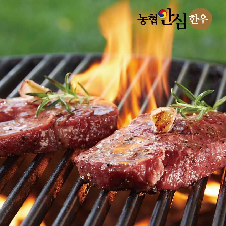 [농할30%쿠폰][농할 국내산][농협안심한우] 1++등심600g 구이용