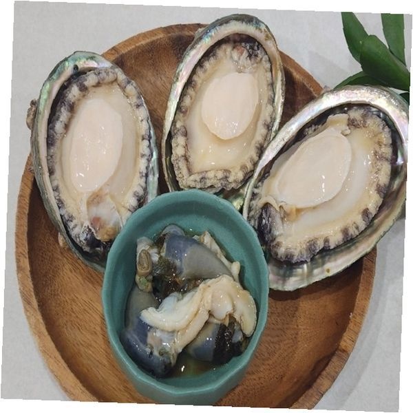 관우농가 활전복 손질 해산물 제철 바다 식재료 고급 요리 재료 찜 구이 죽 전골 밥 가정