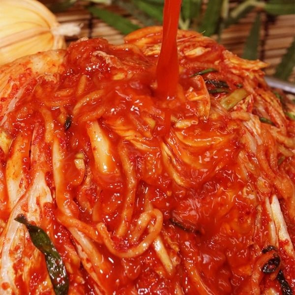 20년 명인김치 전라도식 배추김치(일반) 10kg