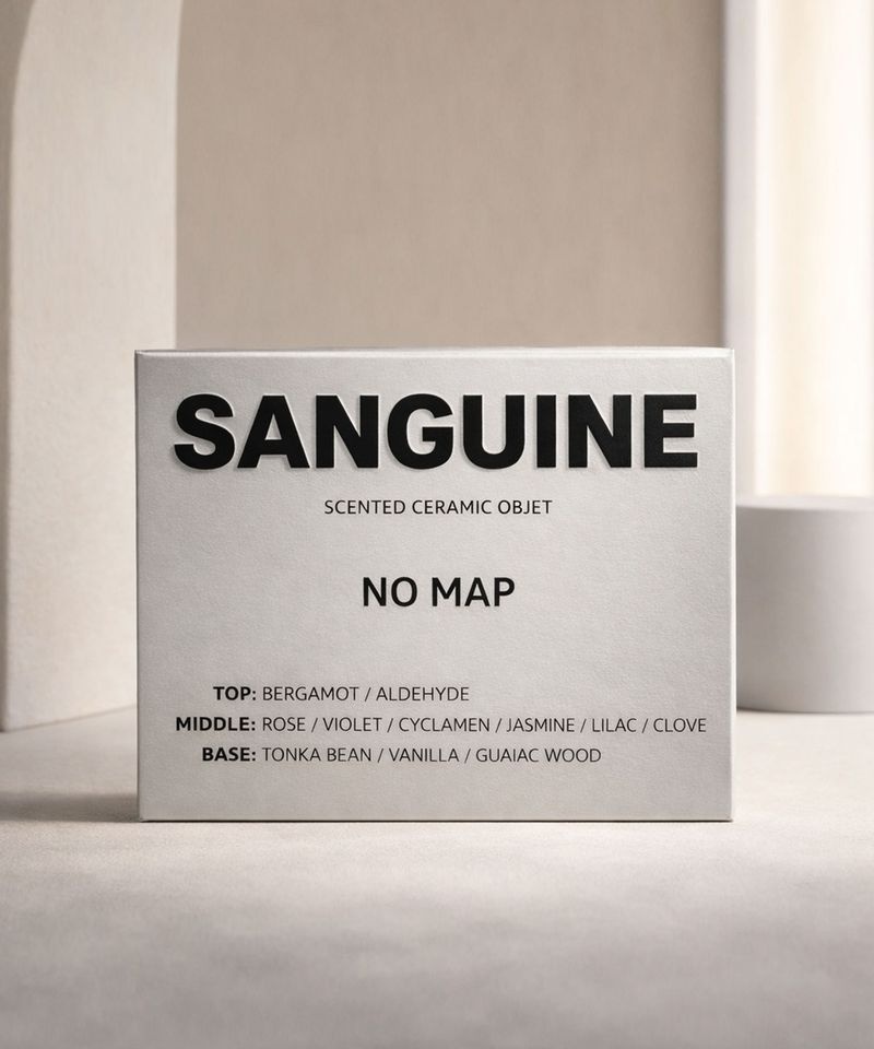 SANGUINE 스톤 사쉐 자동차 디퓨저 리필 119574