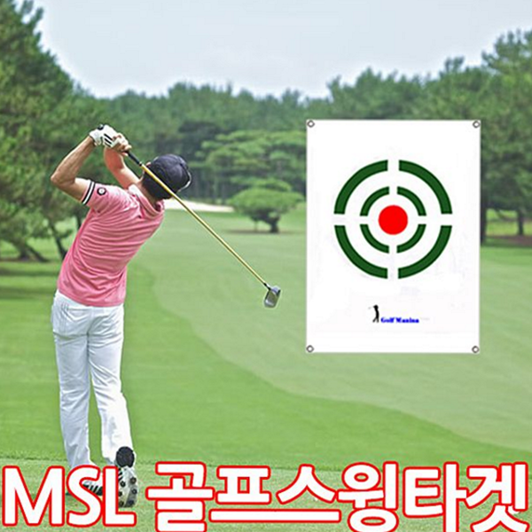 집중 골프 스윙 타겟 임팩트 골프 연습 타겟 훈련 개인