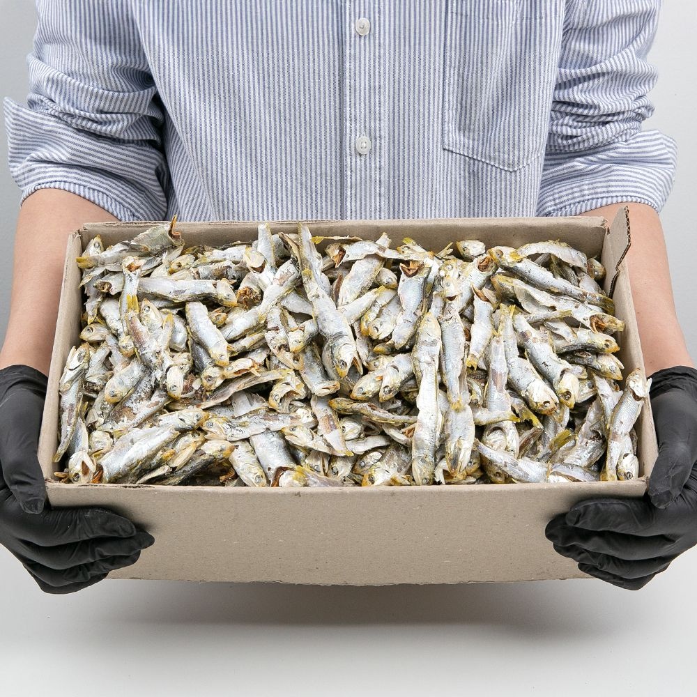 [롯데온] 남해안 고노리 다시멸치 하품 1.5kg (9,430원/무료)