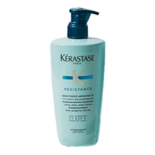 픽/손상케어 케라스타즈 방 포스 아키텍트 샴푸 500ml 기획/단품