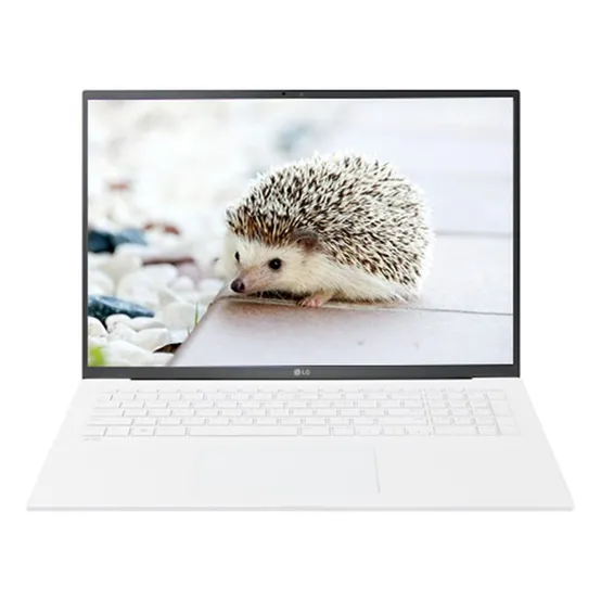 LG전자 LG그램17 17Z90S-GALGL SSD 512GB 