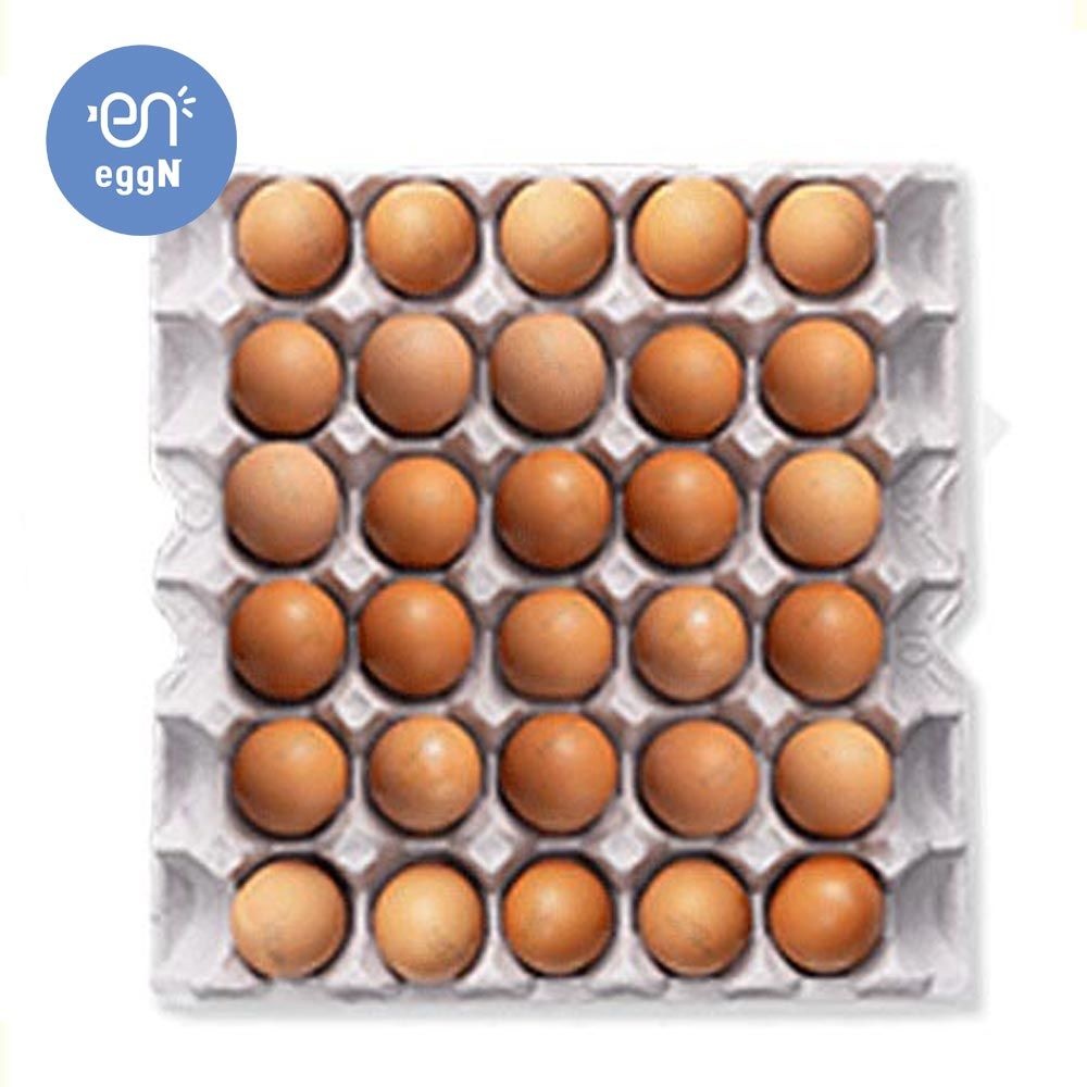 [롯데온]맥반석 구운란 중란 30구 (9,620원/무료)