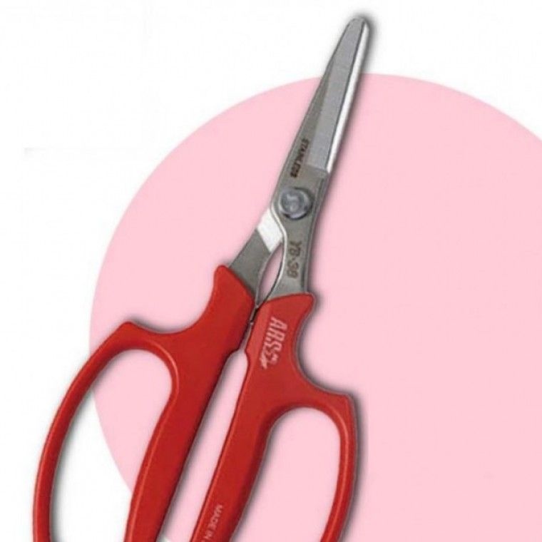 협력업체 수확 과일 편안한 오이 피망 야채 가위 그립감 사용