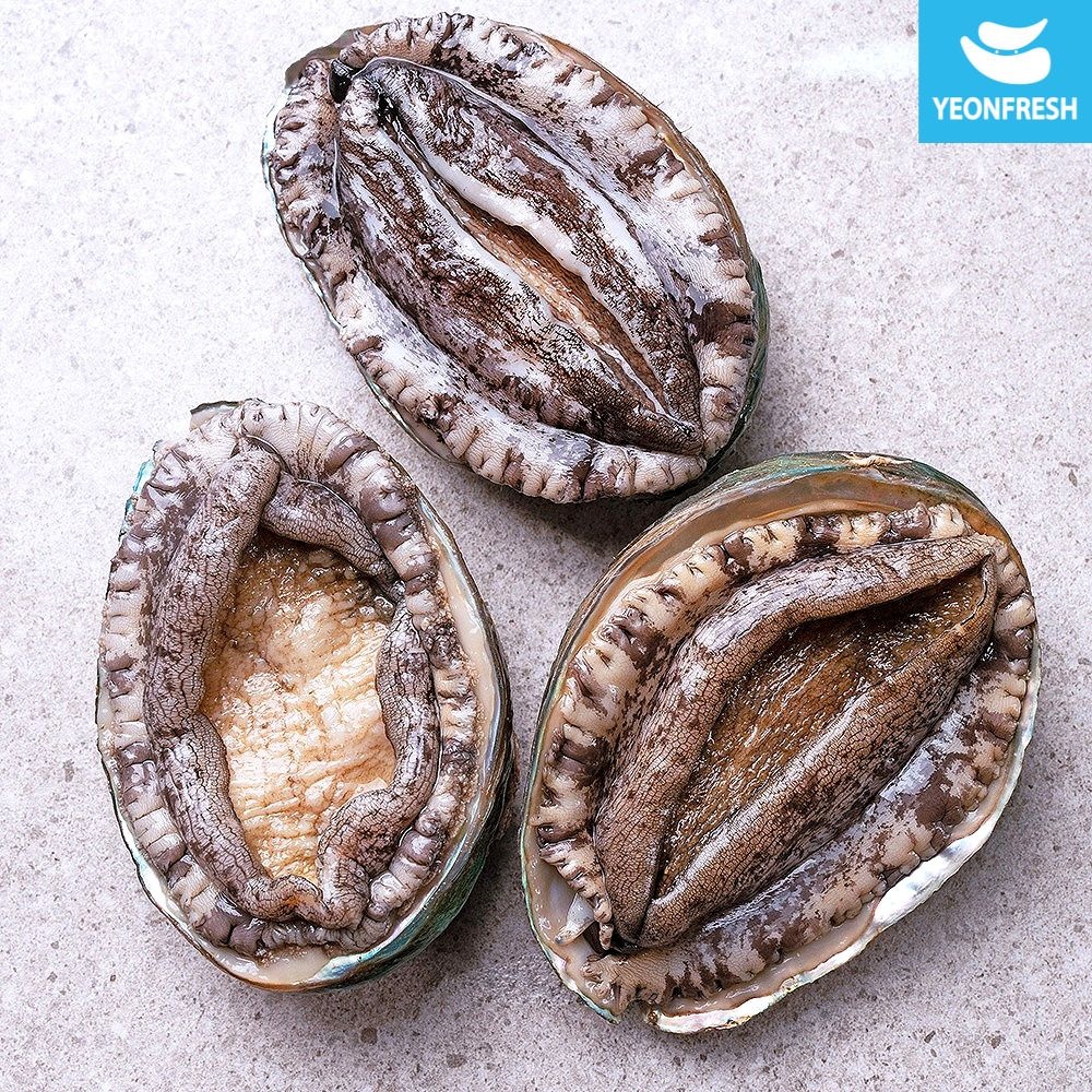 연프레시 완도활전복 1kg 9-10미(미당100g내외) [산소팩, 무료배송]