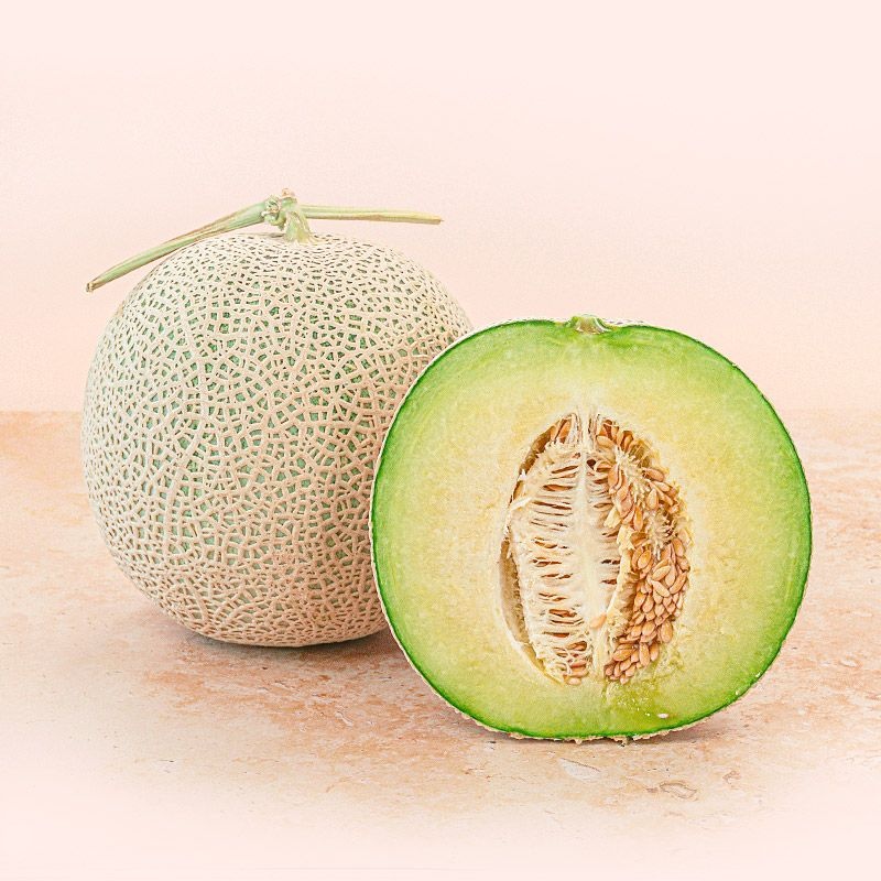 14브릭스 고당도 머스크 메론 1.2kg 중소과 2입 특품