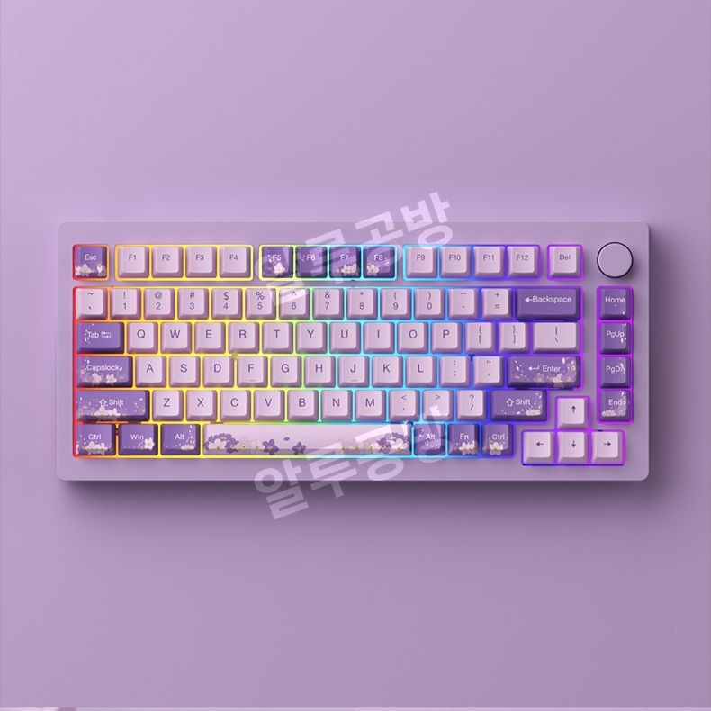 [해외] 몬스긱 M1 기계식키보드 핫스왑 가스켓 75배열 RGB
