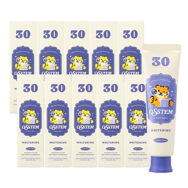 오스템 30 치아미백제 (80g) 10개