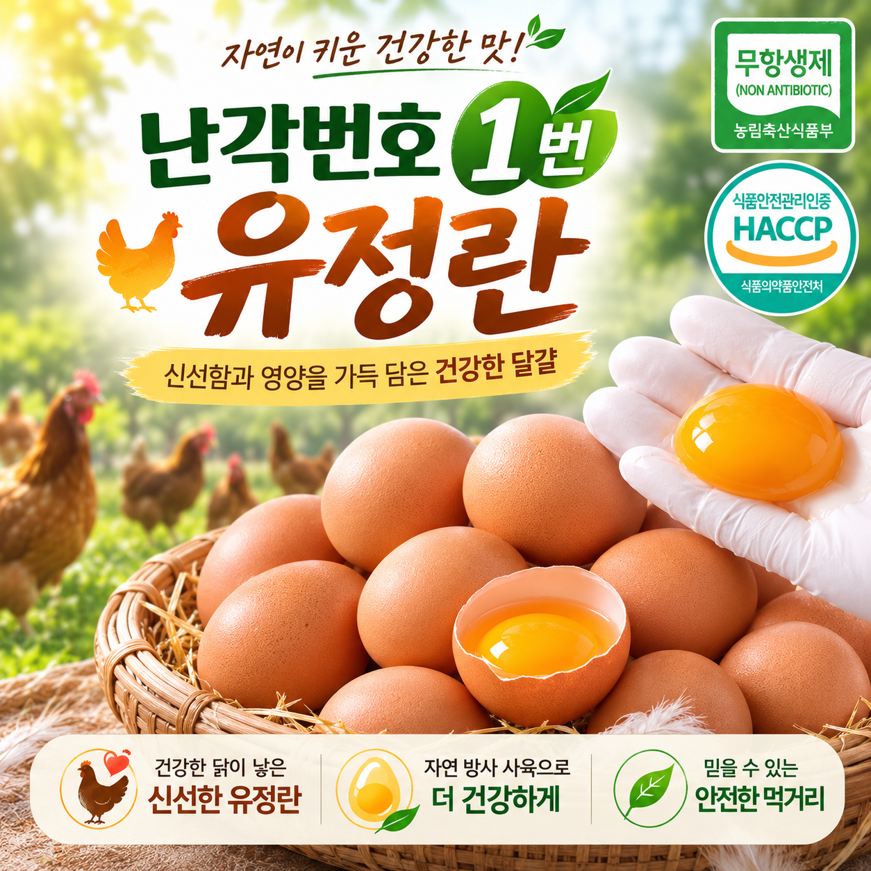 프리미엄 유정란 40구 난각번호 1번