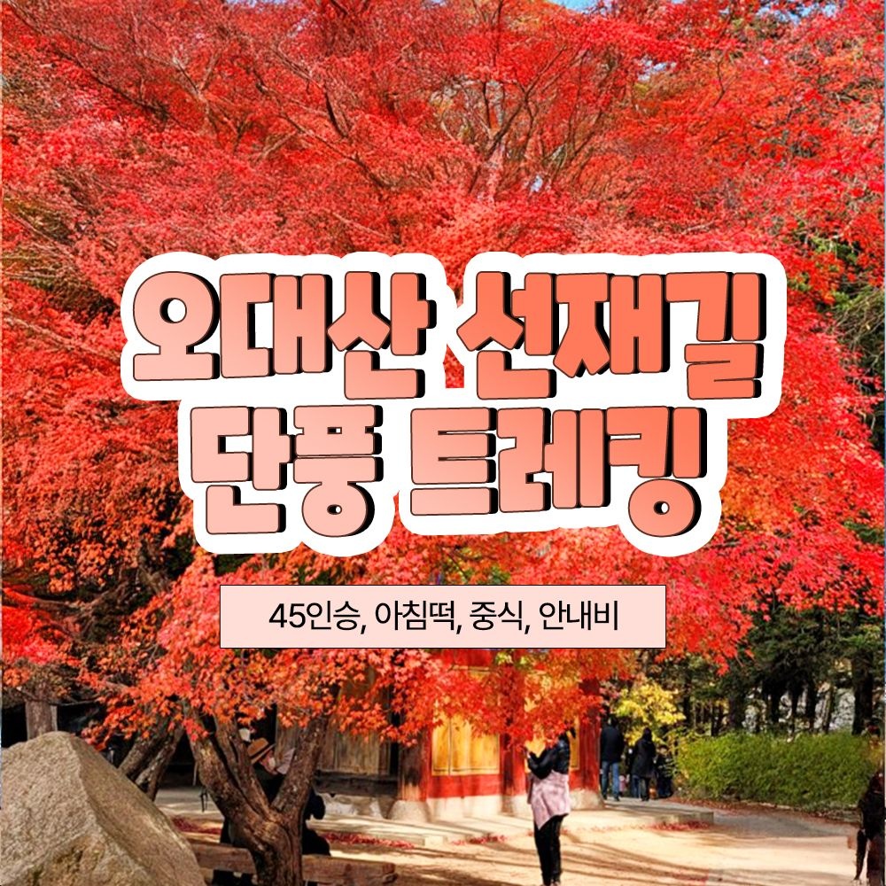 여행자클럽 [런트립] 강원 고승들께서 걸었던 구도의 길- 오대산 선재길 단풍 트래킹( 중식제공 ) 당일