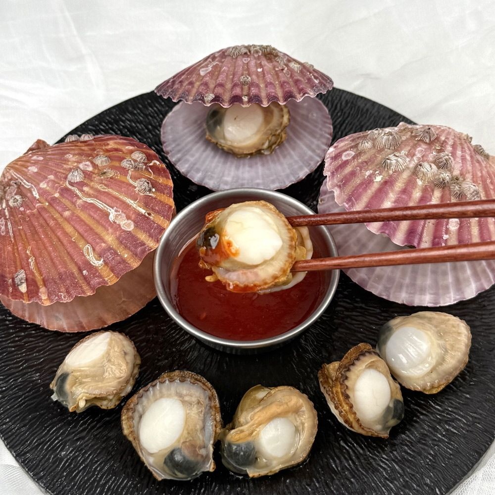 해물탕 단풍가리비 통영 홍가리비 1KG (25미 내외) 2KG 산지직송 캠핑 조개구이