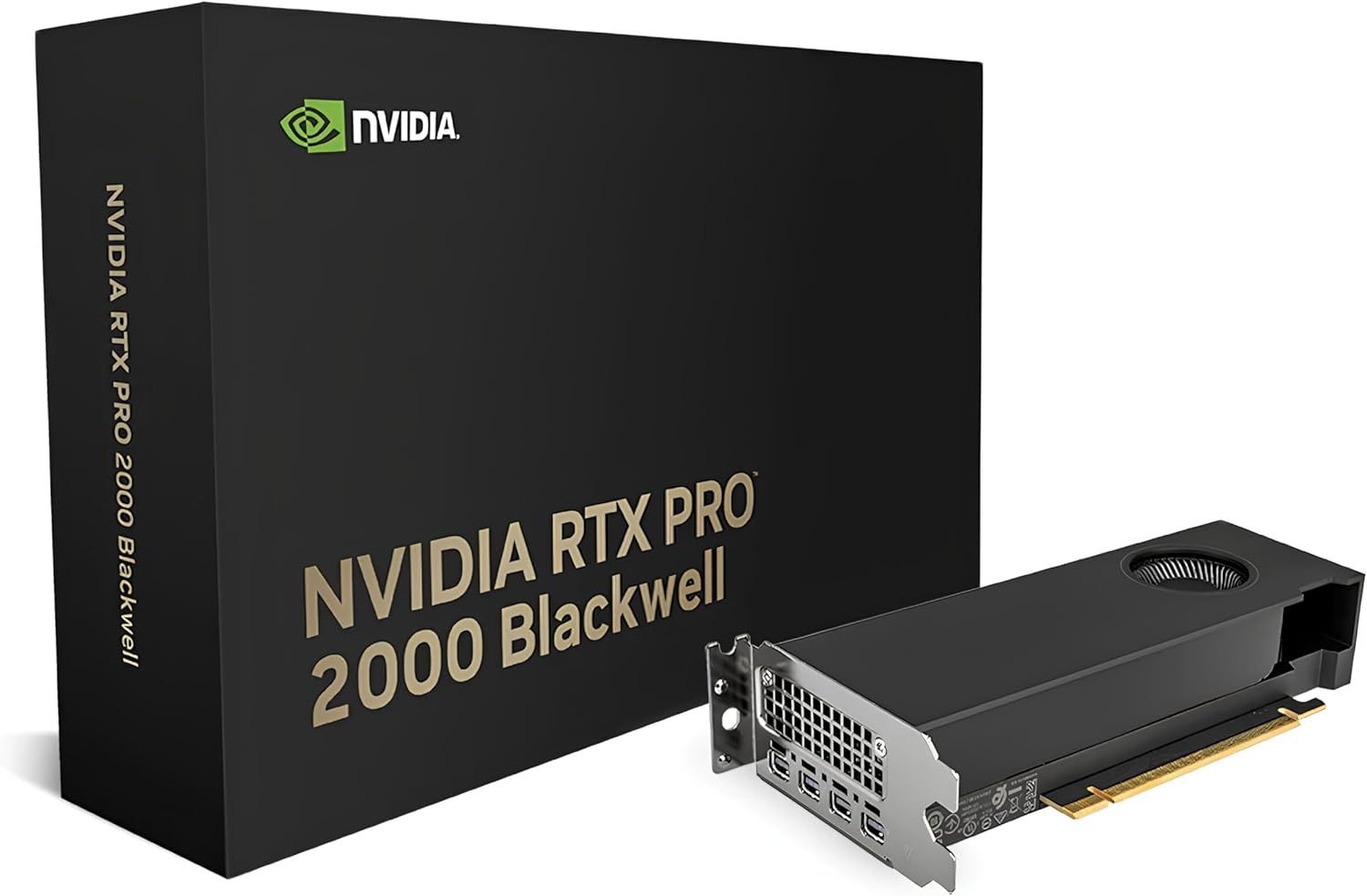 엔비디아 Rtx Pro 2000 블랙웰 리테일 그라피카르테 Pci 16GB Gddr6 128비트(900-5g195-2551-000)