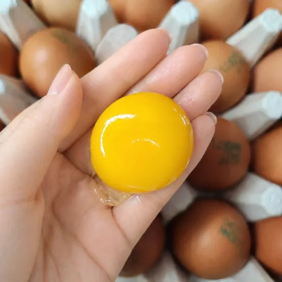 [팜스온테이블] 파손보장/ HACCP 동물복지 달걀 무항생제 난각번호2번 유정란 20구/40구/60구 모음