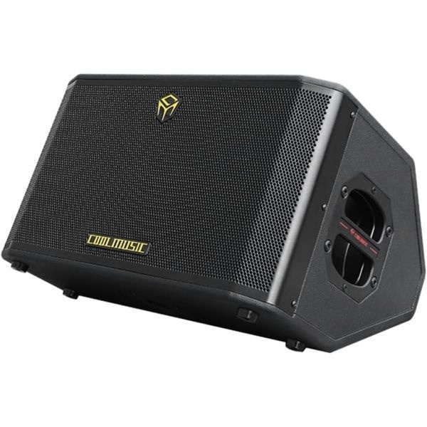 쿨뮤직 300W 프로페셔널 어쿠스틱 기타 앰프, 버스킹 앰프 PA 시스템, 7개의 입력, 스튜디오급