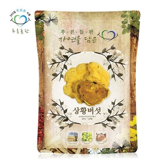 푸른들판 장수 상황 버섯 100g 원물 덩어리 진흙버섯