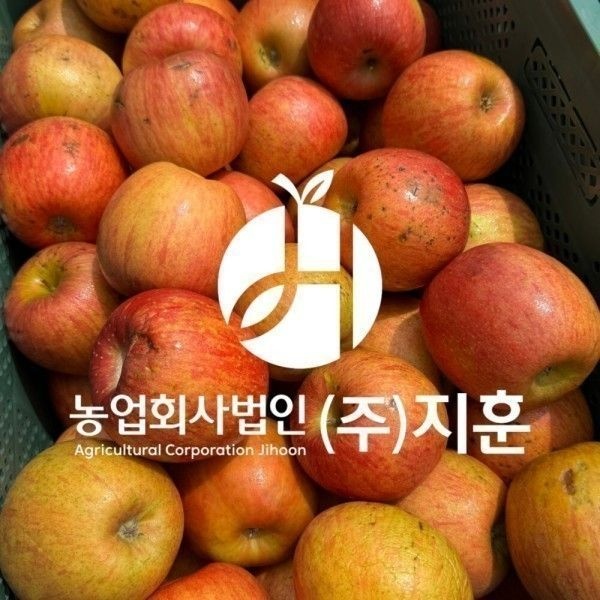 지훈이네 국내산 흠과 쥬스용 주스용 사과 랜덤과 실중량 4kg,8kg,10kg