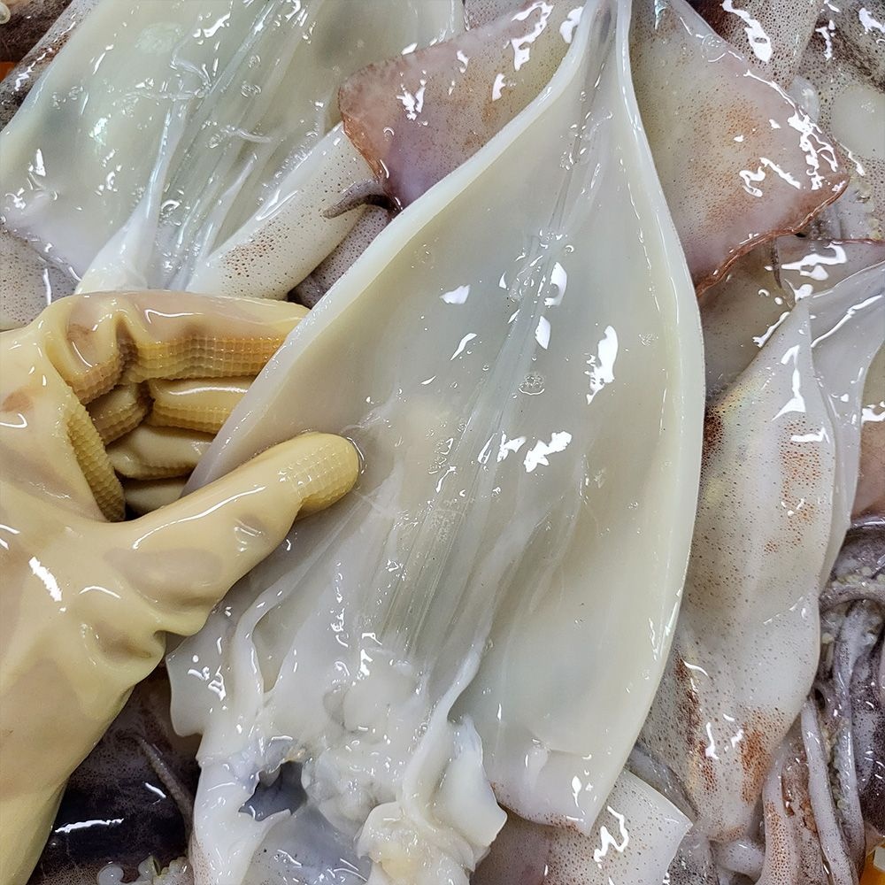[롯데온]원양산 자연산 손질 통오징어 220gx5팩 (18,240원/무료)