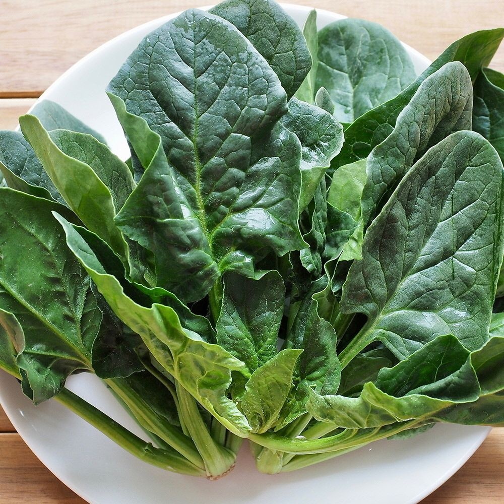 이유식재료 아이반찬 달달한 남해 보물초 300G 시금치 무침 국거리용 섬초