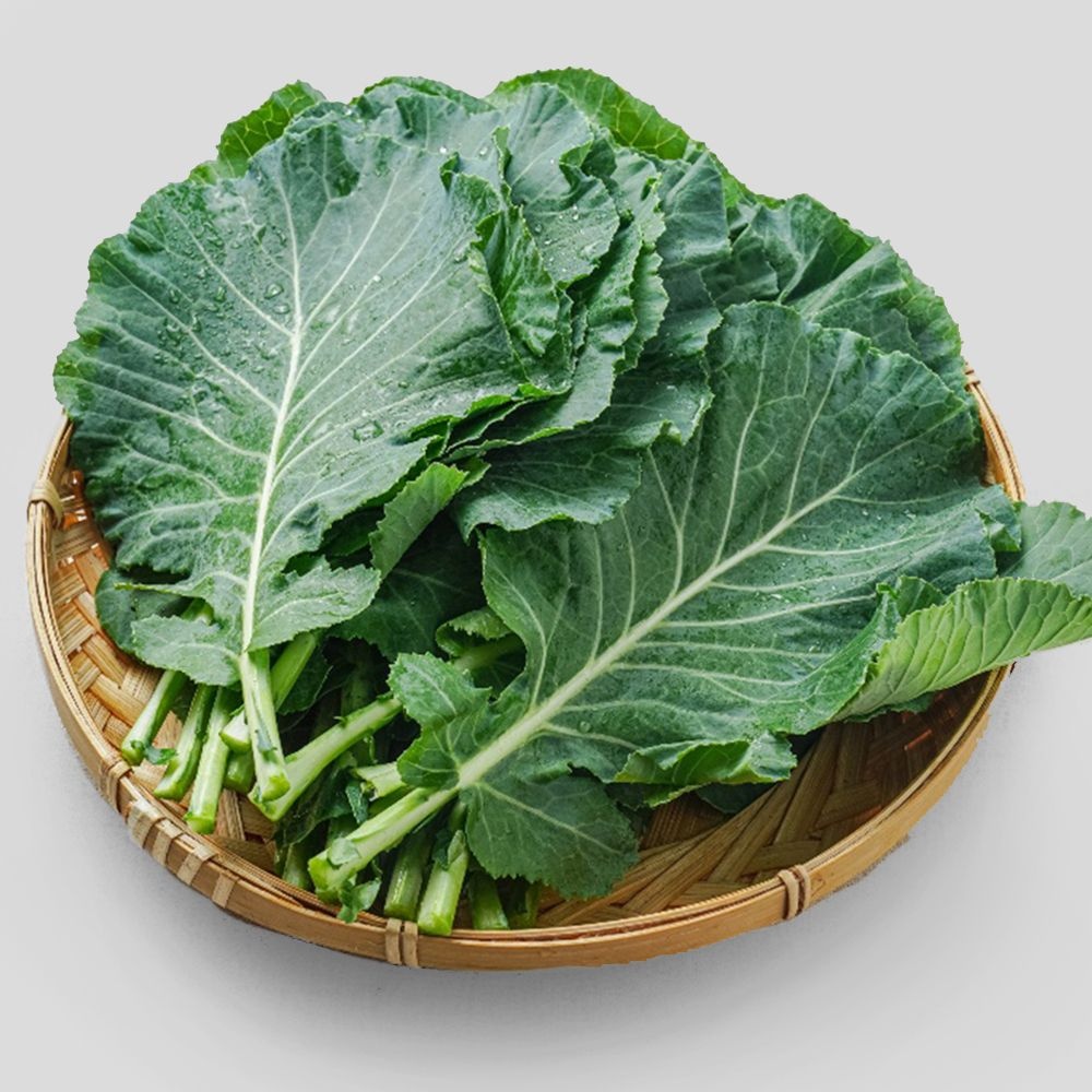 [농할 국내산]국내산 쌈케일 1kg 2kg 쌈채소 녹즙 샐러드채소