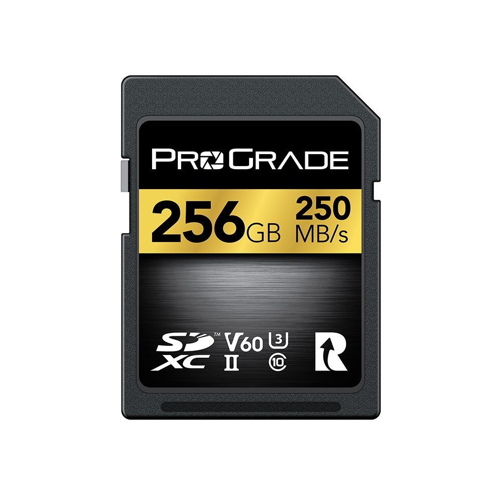 PROGRADE [ProGrade] 프로그레이드 256GB SD 메모리카드 SDXC UHS-II V60 250MB/s