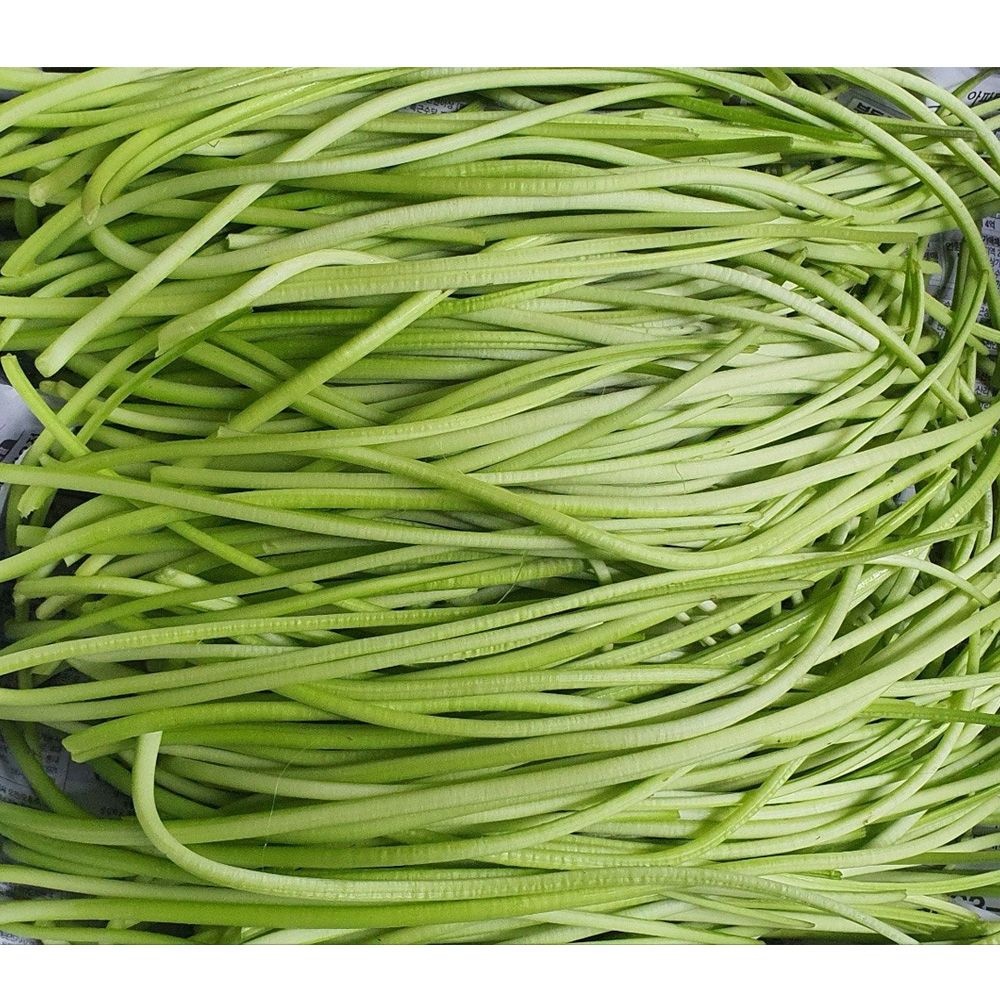 순천 참샘 고구마줄기 고구마순 껍질 깐 고구마줄기 2kg
