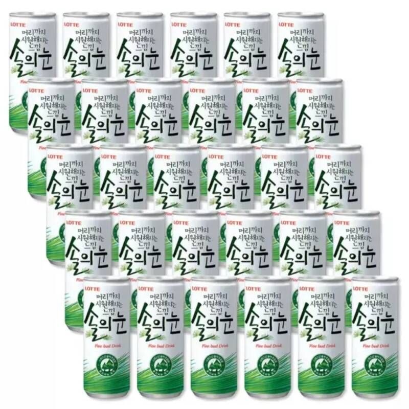 머리까지 시원해지는 느낌 솔의눈 240ml 30캔