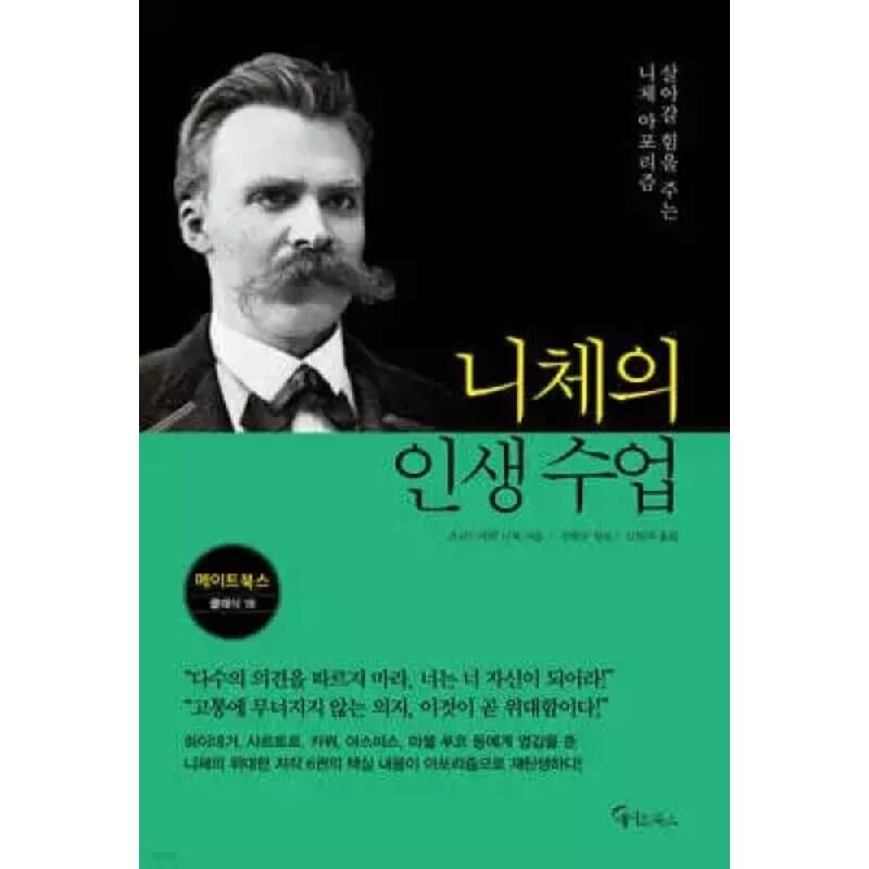 니체의 인생 수업 (큰글자도서) /살아갈 힘을 주는 니체 아포리즘 (메이트북스 클래식 18)