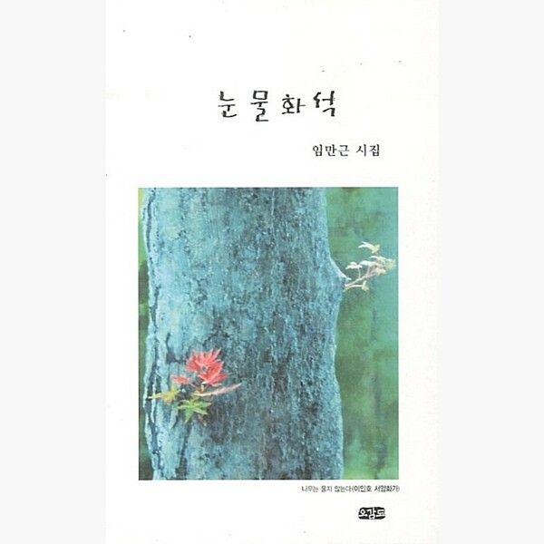 오감도 눈물화석 - 임만근 시집 - 임만근