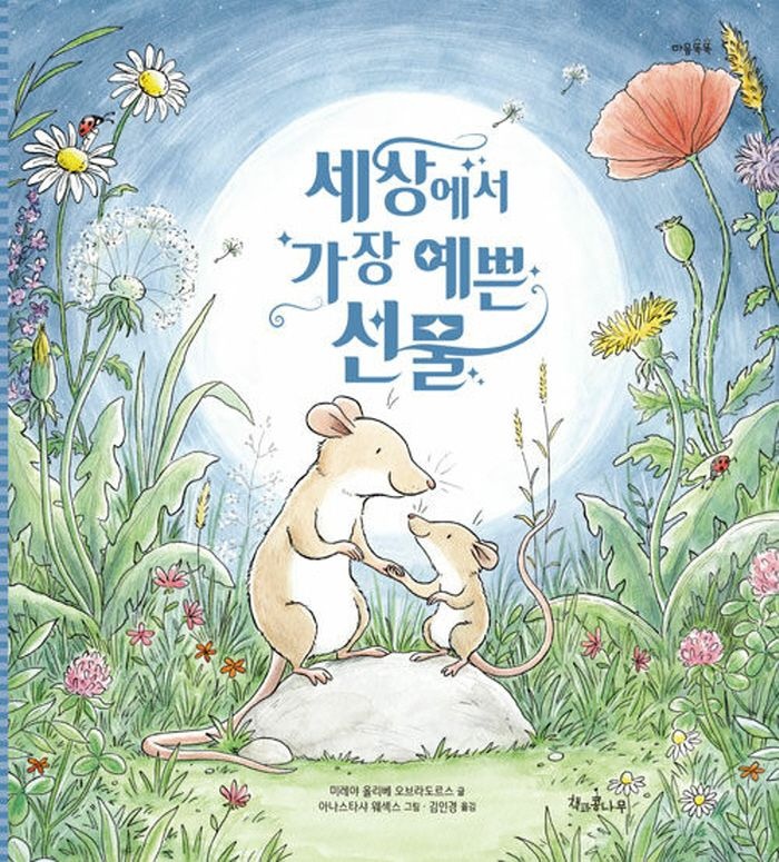 책과콩나무 책과콩나무 세상에서 가장 예쁜 선물