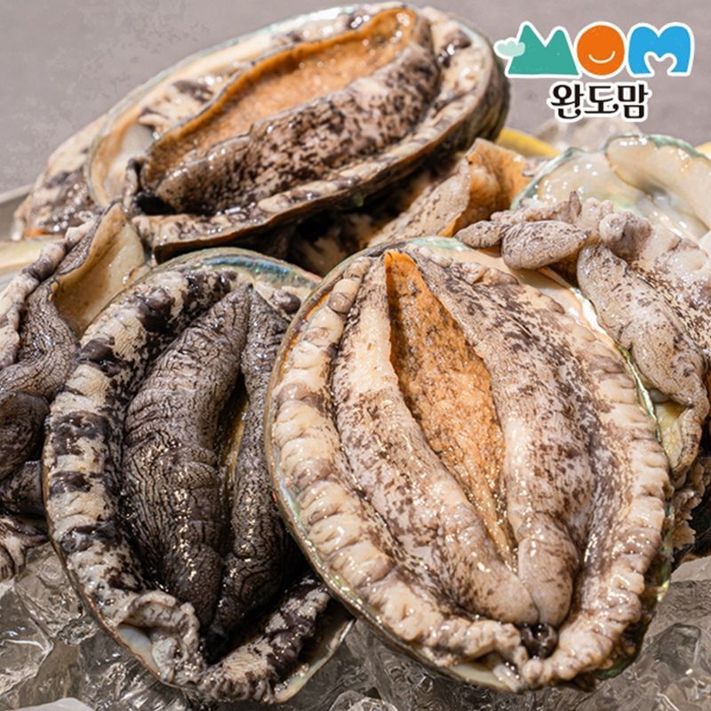 완도맘 완도 활전복 9-10미 1kg 대전복